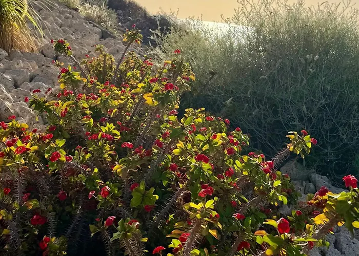 Ocean Mountain Apartmán